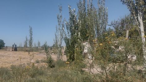 Expropiación en la obra de la doble vía a Rivadavia. (Enrique Pfaab - Los Andes)&nbsp;