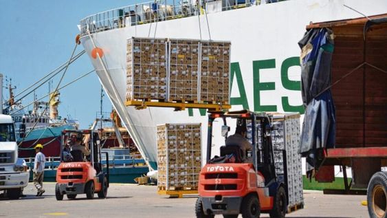 Las exportaciones cayeron 21% respecto del mismo mes de 2019.