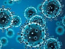 Virus de la gripe H1N1
