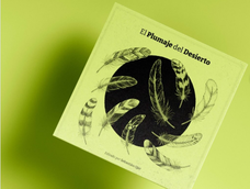 un disco reune a 12 escritores mendocinos: como es y donde escuchar el plumaje del desierto
