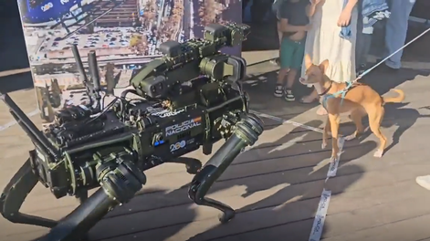 El inesperado cara a cara entre el robot Sira de la Policía y un perro curioso en Vigo