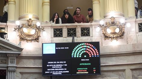 Los Andes | El Senado aprobó cambios a la ley de alquileres con 37 votos a favor y 29 en contra (Foto: Comunicación Senado)