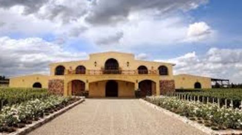 Guarda 14 | Vino Chacayes 2015 de bodega piedra negra, elegido como el mejor vino argentino 2020