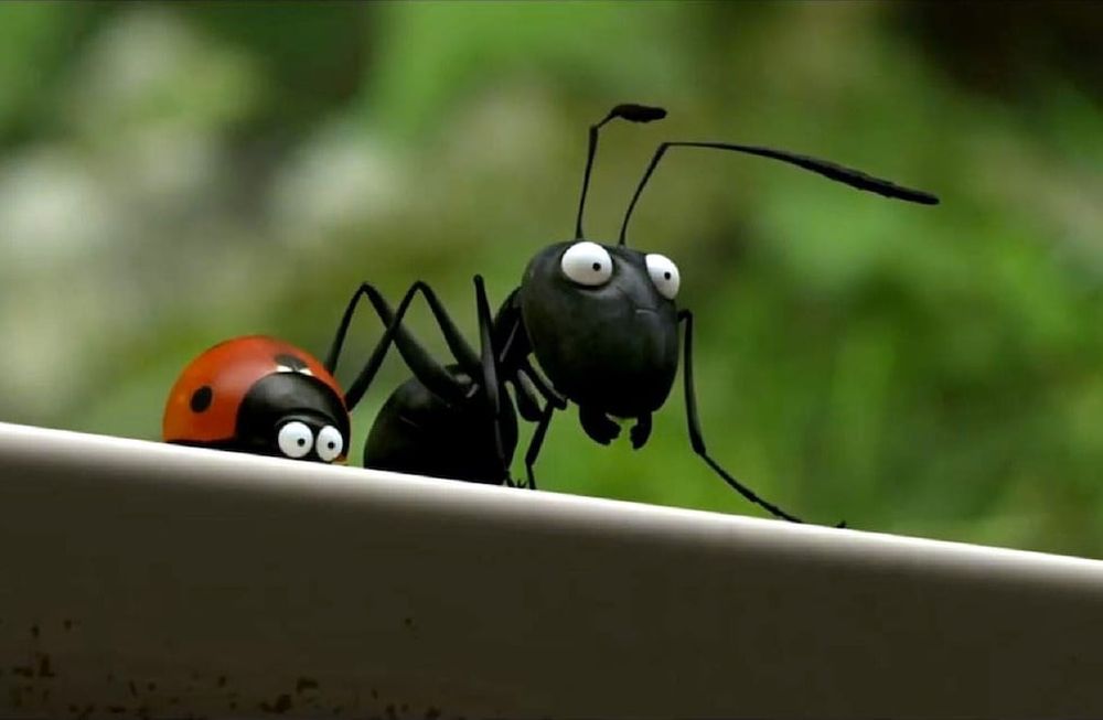 Microaventuras