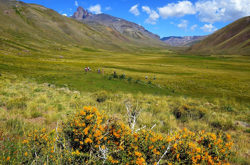 Premian a guías turísticos de Mendoza que concientizan sobre cuidado del agua y reciclan botellas de plástico. Foto: Gentileza