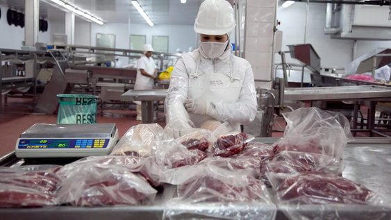 El conflicto sanitario entre Argentina y Chile deja en suspenso el comercio de productos animales en la Patagonia.