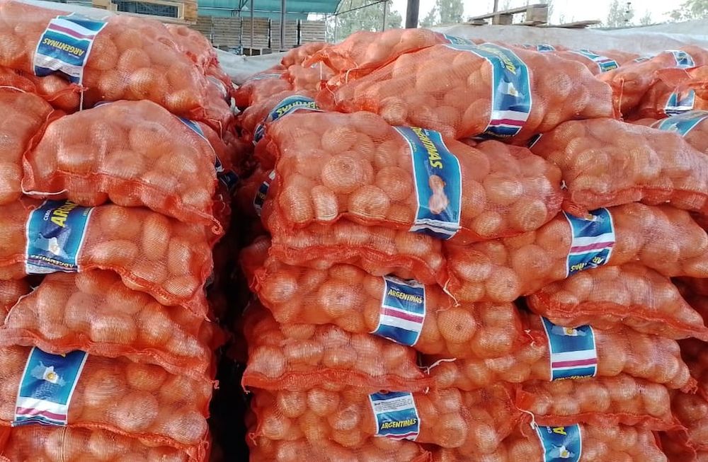 Comerciantes señalaron que los precios de las verduras y frutas están muy bajos, enumerando entre otros productos papa, cebolla, zapallo coreano y alimentos de hoja verde. (Imagen ilustrativa).