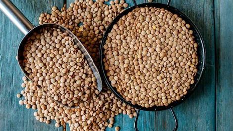 Los Andes | La curiosa receta para hacer tarta de lentejas