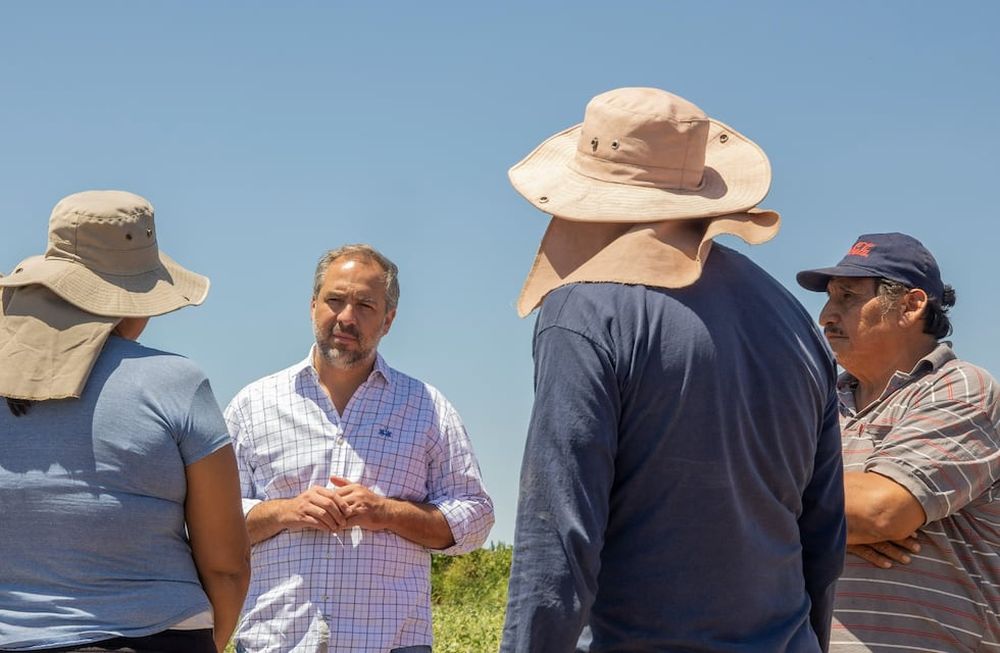 Maipú eximirá del pago de tasas municipales a productores del departamento