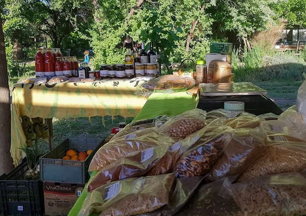 Conservas, legumbres, frutas y verduras agroecológicas; alimentos que se comercializan en el Mercadito a través de un sistema de pedidos por whatsapp y retiros coordinados.