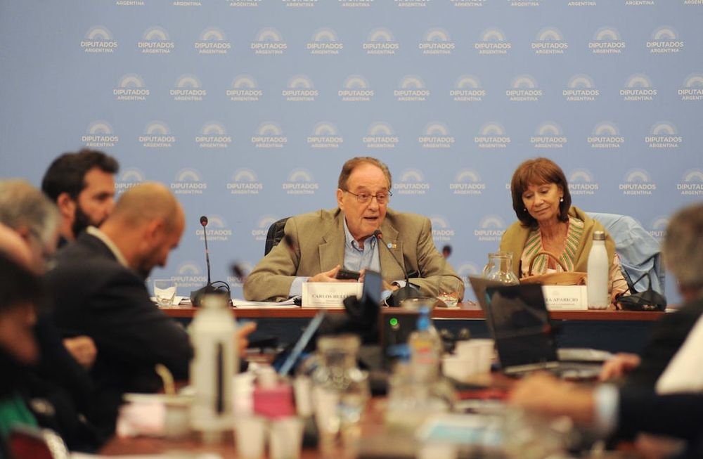 Carlos Heller, presidente de la Comisión de Presupuesto, en el debate de este miércoles (Foto: Federico López Claro)