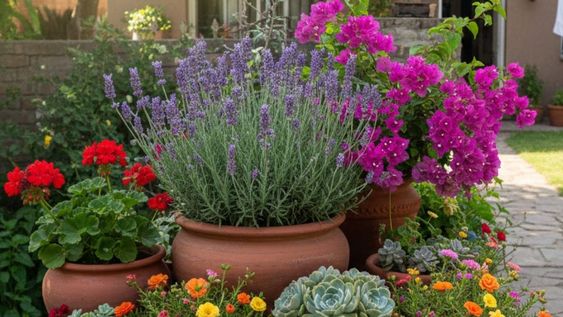 Estas flores permiten sostener el ambiente lleno de color todo el verano.