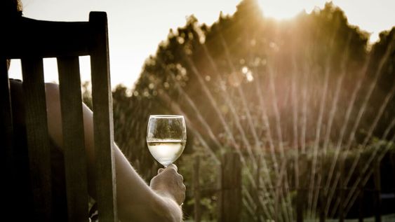 tres vinos dulces para disfrutar en verano