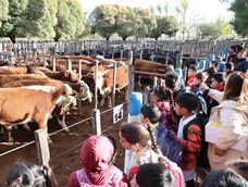 La primera mañana de la Fiesta Nacional de la Ganadería convocó a más de 2.000 alumnos.