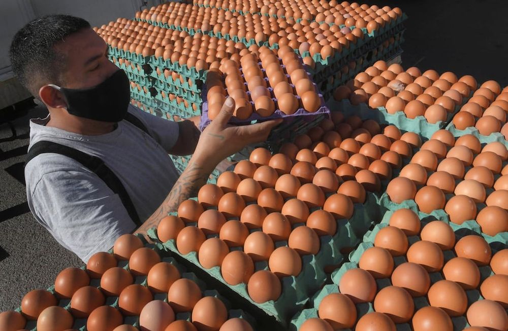La ley plantearía una verdad a medias que pone en riesgo el trabajo de la mayoría de los empresarios del sector que hacen las cosas bien. / Foto Orlando Pelichotti.