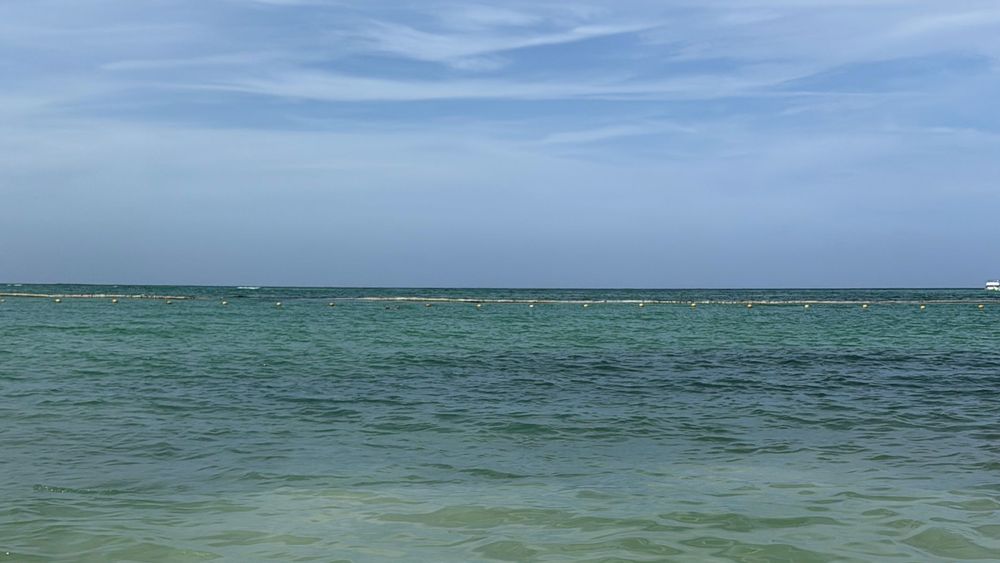 Playa Bávaro concentra algunos de los beach clubs y hoteles all inclusive más elegidos por los argentinos en Punta Cana.