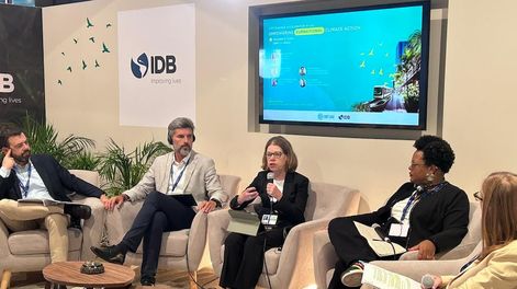 COP 28: Ulpiano Suarez expuso en el panel del Banco Interamericano de Desarrollo