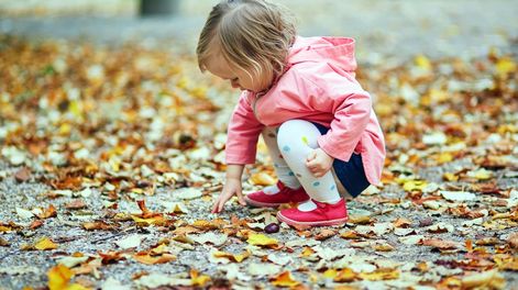 Los Andes | Con la llegada del otoño se abre la temporada de paseos por calles pintadas de mil colores. Es un tiempo para disfrutar de la naturaleza y aprender mucho sobre ella.
