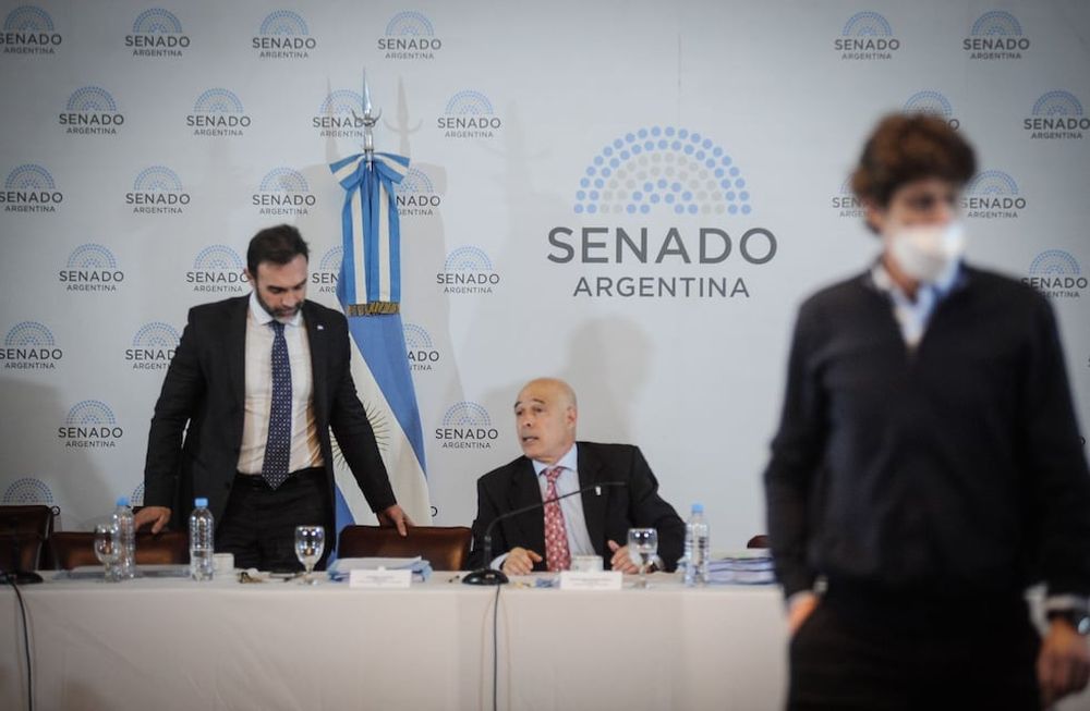 Los senadores Ezequiel Atauche y Bartolomé Abdala, de La Libertad Avanza, y el radical Martín Lousteau en el plenario de comisiones (Foto: Federico López Claro)