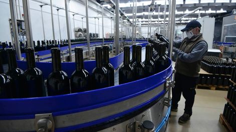 Las bodegas deberán abonar un monto casi 90% mayor al del año anterior por todos sus productos. - Foto: Claudio Gutiérrez / Los Andes