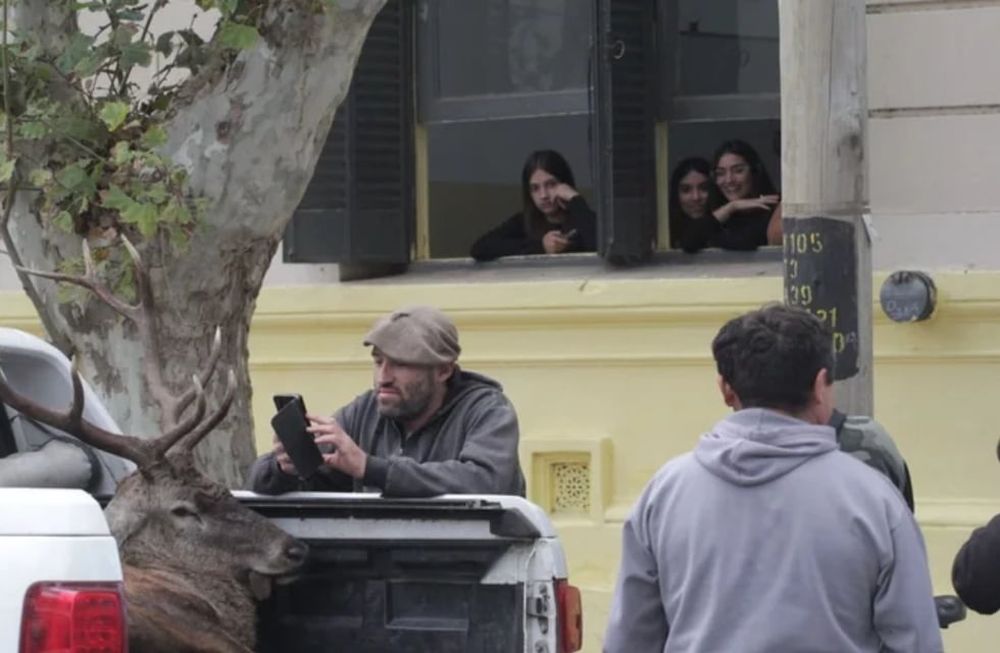 . El hecho también atrajo a las autoridades, puesto que se sospechaba que habían cometido un ilícito al haber atentado contra los mencionados ejemplares. Foto: Juan Andrés Galli