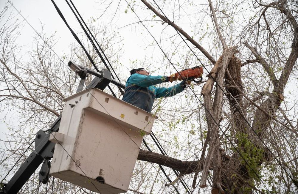 La Ciudad inicia una nueva semana de trabajos en arbolado y bacheo de calles