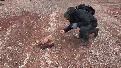 El lugar de la montaña mendocina, cerca de Las Cuevas, donde se encontraron los materiales de origen incaico. En la foto se ve al arqueólogo Horacio Chivazza revisando el sector del hallazgo.Fotos: Expedición De Rosas-Chiavazza.