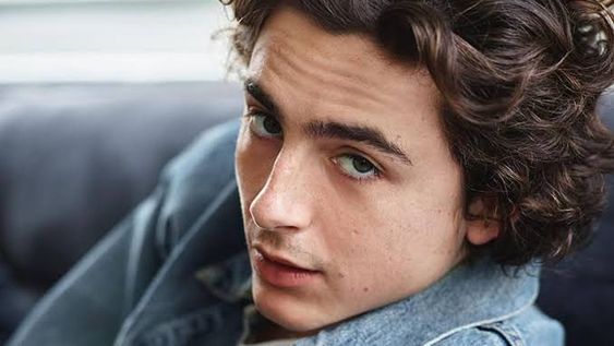 Netflix despedirá una película adolescente con Timothée Chalamet