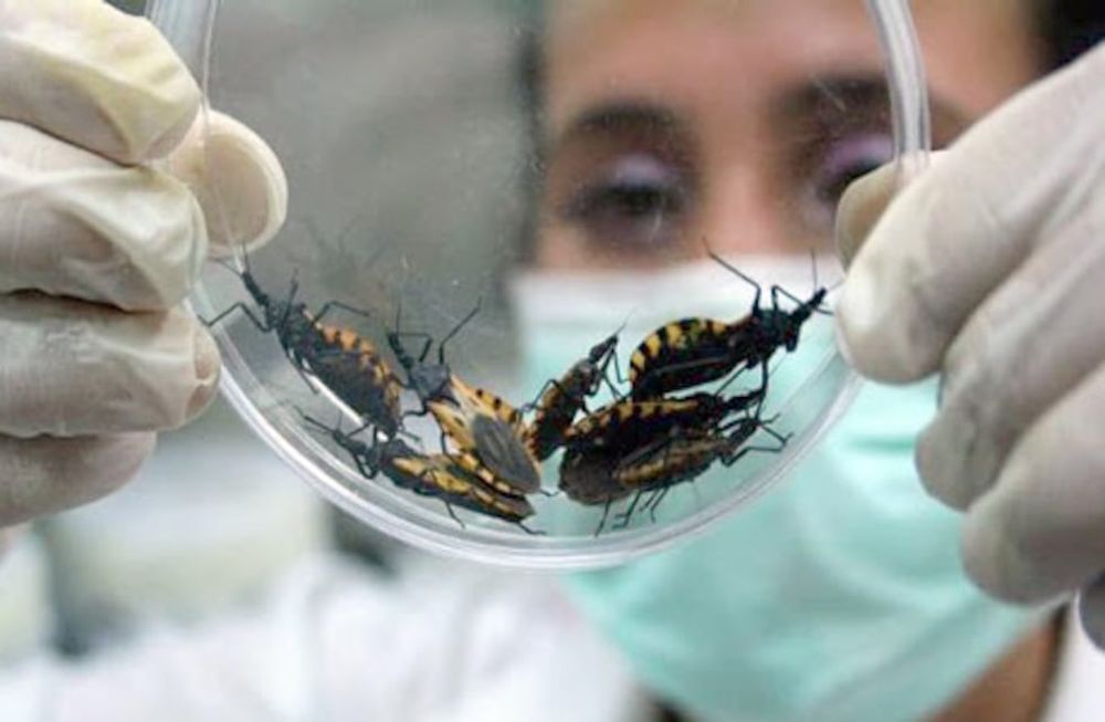 Chagas, una enfermedad que debe recibir atención