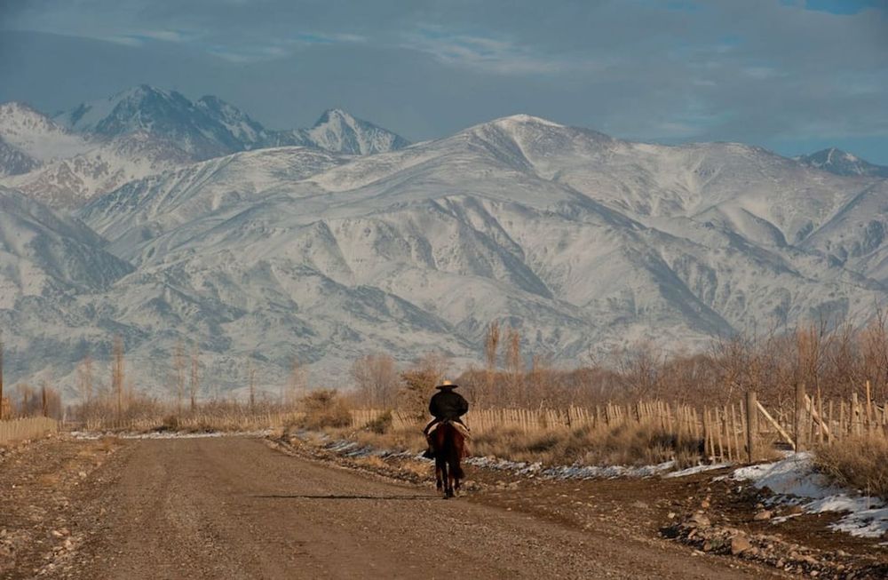 Llaman a licitación por 1.400 millones de pesos para asfaltar caminos de Gualtallary e inician obras en la RP 89