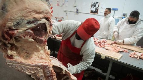 La carne tendrá precios congelados este fin de semana largo en supermercados. Foto: Ignacio Blanco / Los Andes