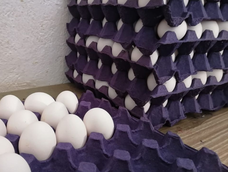 recicla los maples de huevo vacios y conviertelos en esta fabulosa idea para tu hogar