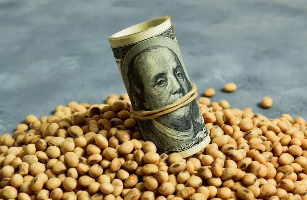 Dolar soja