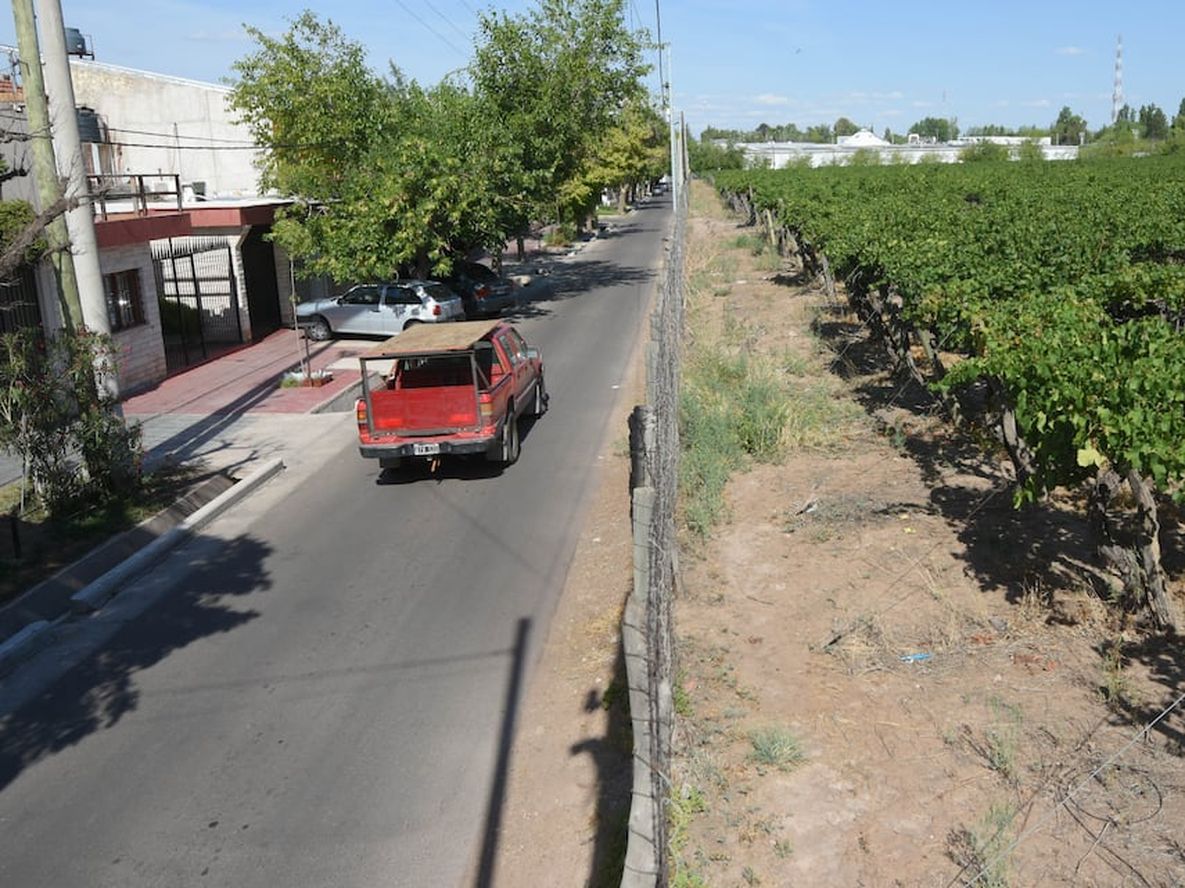 Sobre calle Kennedy, entre  Dorrego y Cobo, se encuentran los últimos viñedos de una zona hoy convertida en un área comercial y residencial por excelencia. Foto: José Gutiérrez / Los Andes