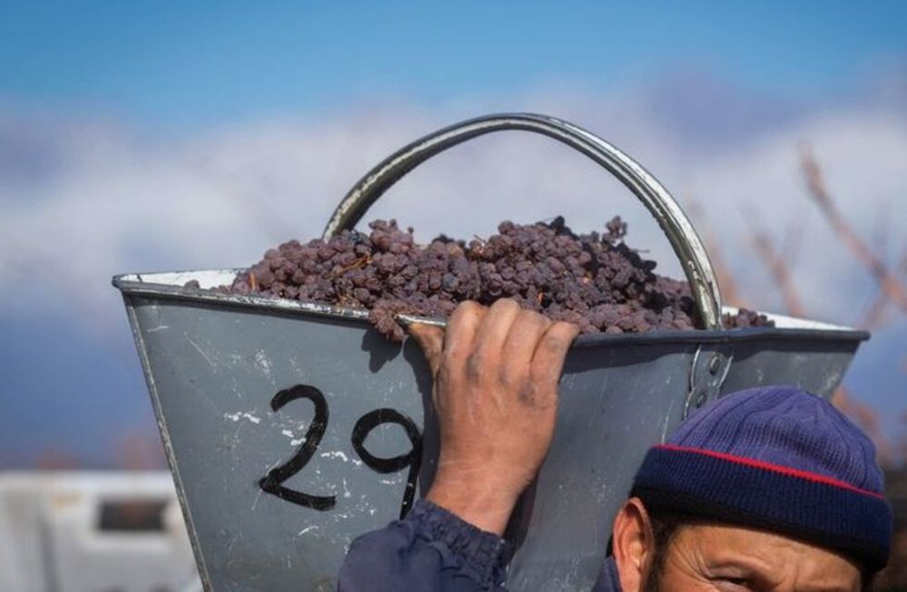 Hay empresas que a pesar de la pandemia, la recesión económica, la inflación y la inestabilidad general, siguen apostando por la agroindustria local