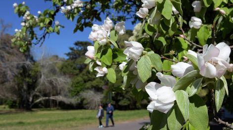 En Mendoza hay 45% de probabilidades de tener registros de calor habituales para la época o por encima de los promedios esperados. | Foto: Los Andes