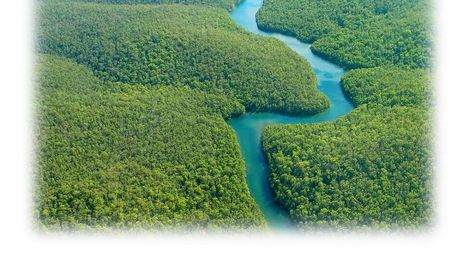 Brasil y la Amazonia - Por José Fiuza Neto