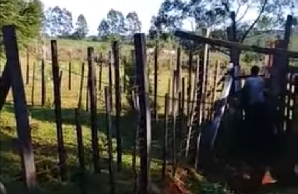 Zoofilia en Misiones: filmó a su vecino abusando de una vaca y lo denunció