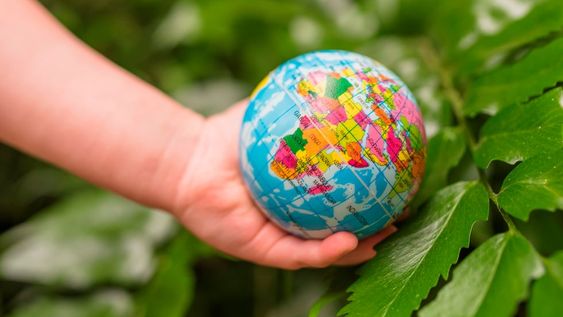 Pluralidad de miradas en torno a la educación ambiental para la diversidad biocultural