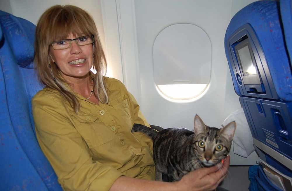 ¿Qué cuidados hay que tener con los animales antes de volar?