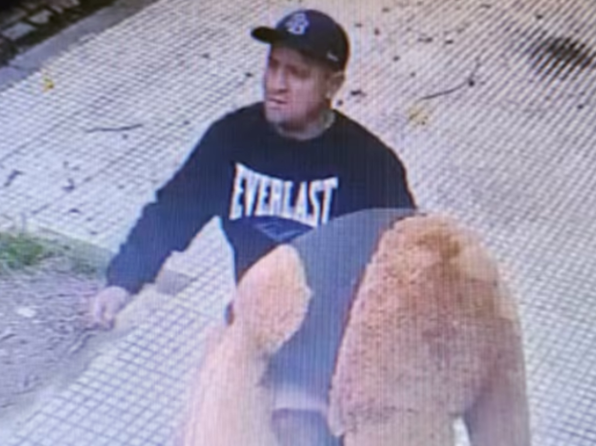 Insólito: rompió el vidrio de un auto para robarse un oso gigante de peluche en Saavedra