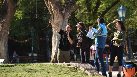 La Ciudad de Mendoza ha registrado 49 especies de aves en sus espacios públicos