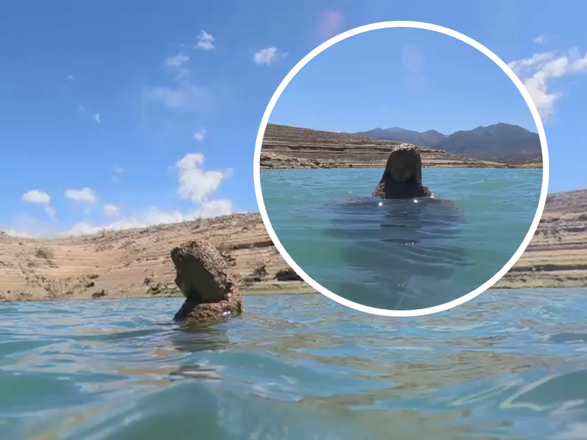 La imagen de una Virgen quedó al descubierto en el dique Potrerillos por la bajante del lago.