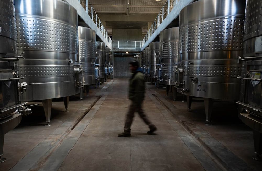 La autora lo pone como ejemplo de una privatización exitosa que termina derramando en toda la cadena vitivinícola y supone una mejora para el productor / Ignacio Blanco