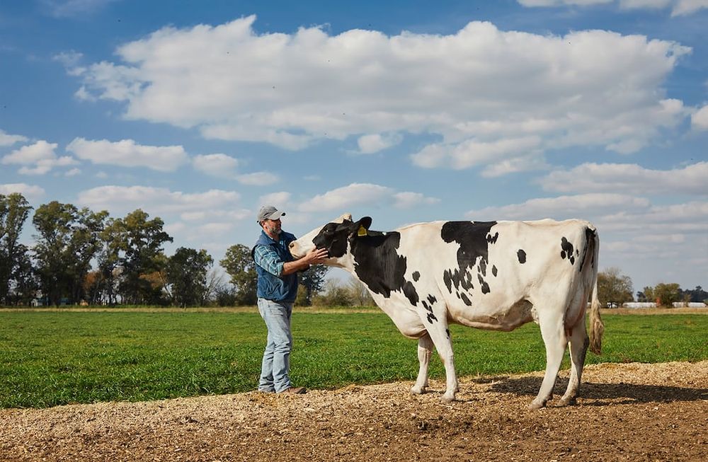 La Serenísima es la primera empresa argentina y de la región en obtener el sello de bienestar animal para sus productos