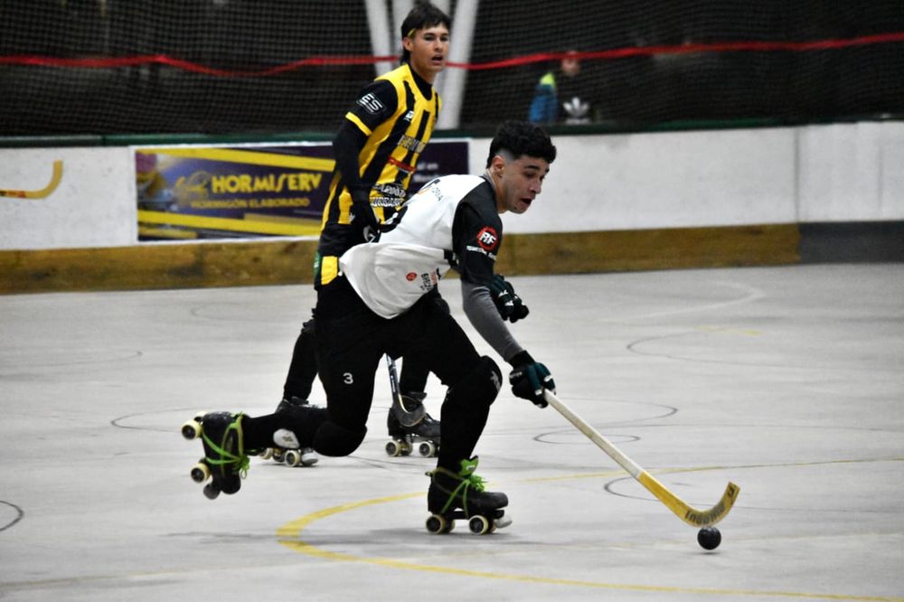 patin tres.jpg