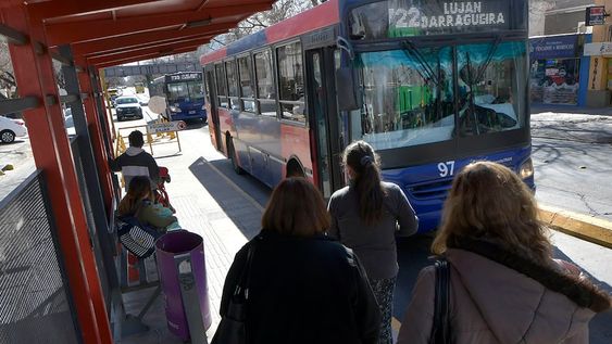 Transporte público gratis el domingo para ir a votar: requisitos para mediana y larga distancia
