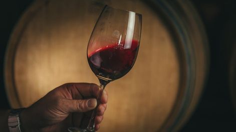 En Aconcagua Radio todos los detalles del Cyberwine 2025: El evento que reune 44 bodegas