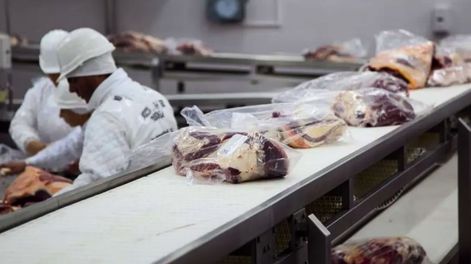 Crecen las exportaciones argentinas hacia la Unión Europea.