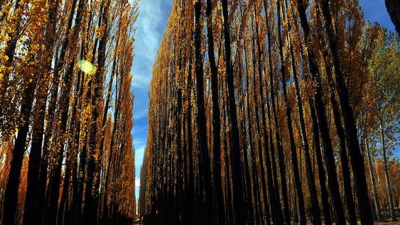 Pronóstico del tiempo. Se espera una jornada cálida en Mendoza. - Archivo / Los Andes